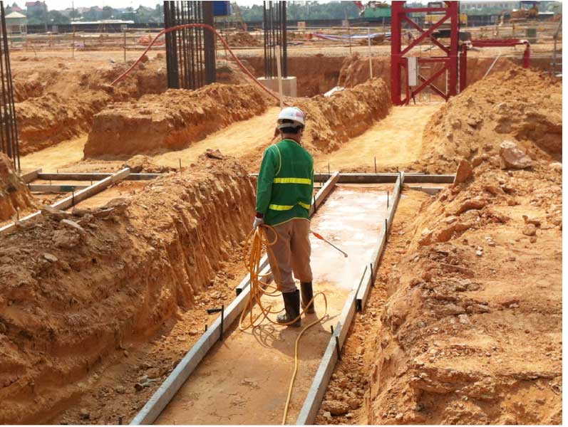 Phòng mối bằng hóa chất