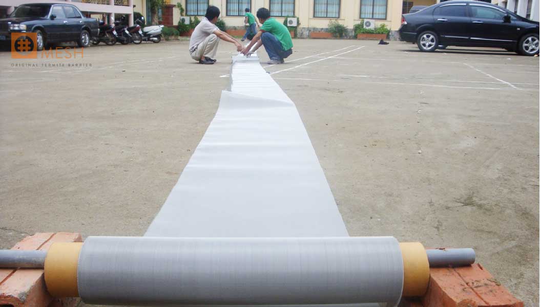 phòng mối công trình bằng lưới thép termimesh